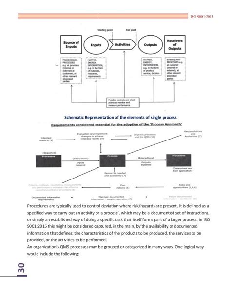 Turtle Diagram Iso 9001 2015 Process