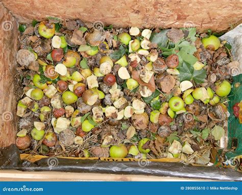 Rotting and Mouldy Fruit in a Compost Pile with Pieces of Apples and ...