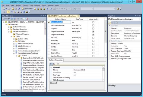 Microsoft S Sql Server Early Code First Look The Register