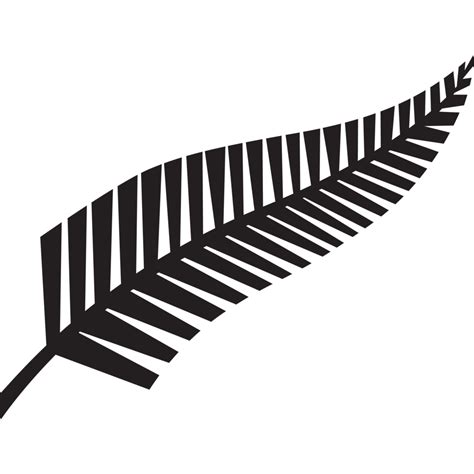 transparent background nz fern png