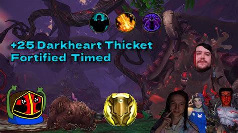 Darkheart Thicket Fortified Timed Protection Paladin Pov Mythic