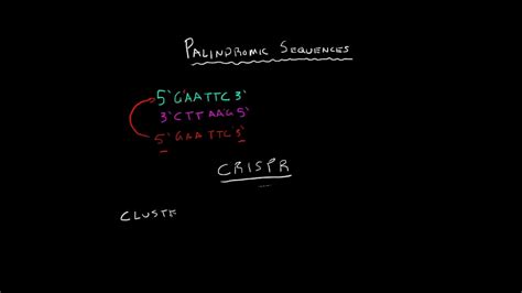 Importance of palindromic sequence - scopeHop