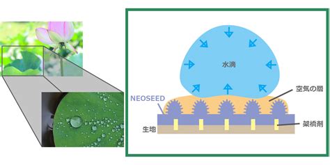 ネオシード | 仕上げ工程 | 日華化学/繊維用界面活性剤