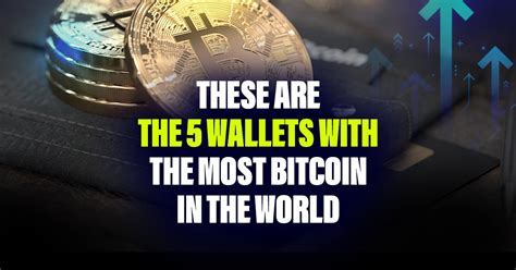 These Are The Wallets With The Most Bitcoin In The World