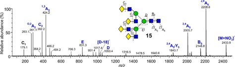 Negative Ion Collisioninduced Dissociation Cid Spectrum Of A