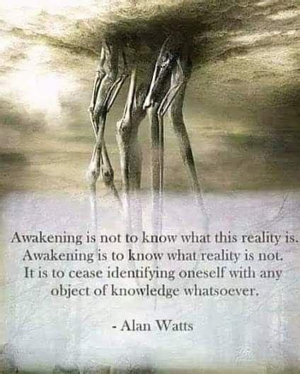 Alan Watts Nol Awakening Zebra Reality Knowledge Facts