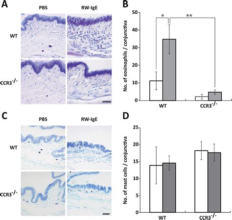 The Murine Ccr3 Receptor Regulates Both Eosinophilia And