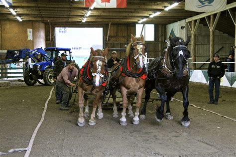 Qccr News And Updates Queens County Fair Ready For 2023 With New