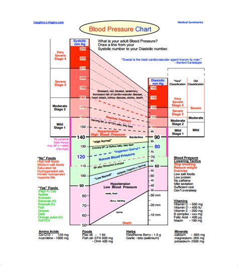 Blood Pressure Chart Infographic