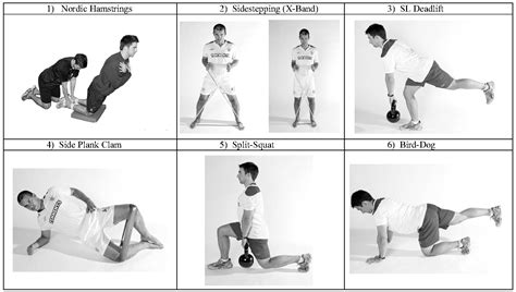 Eccentric Workout Program | Blog Dandk