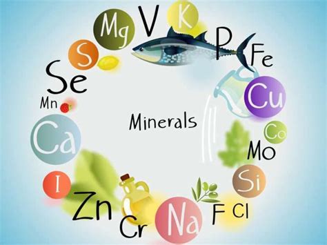 What Are The Trace Minerals That The Body Needs Trifocus Blog