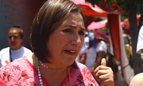 Denuncia Diputado De Morena A Xóchitl Gálvez Por Presunto