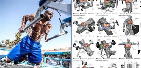 10 Mejores Ejercicios De Pecho Para Construir Músculo Smart Life Rd Best Chest Workout