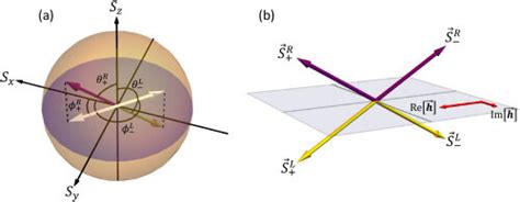 The Pseudospin Of The Right Purple And Left Yellow Eigenstates With