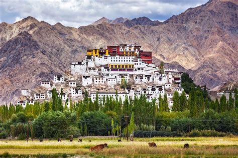 Most Beautiful Monasteries in Ladakh, India