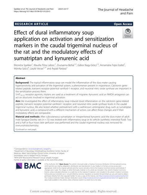 Pdf Effect Of Dural Inflammatory Soup Application On Activation And