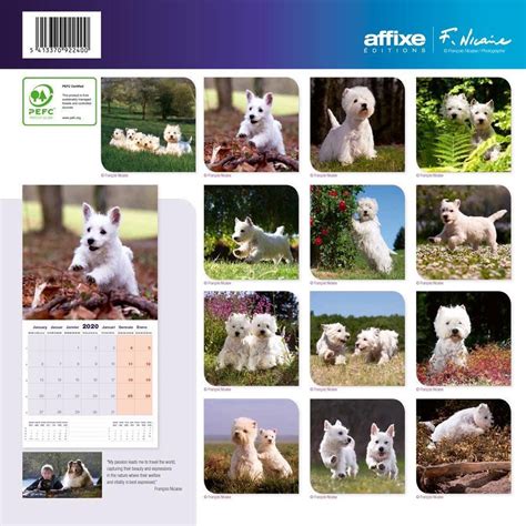 West Highland White Terrier Kalender Bol