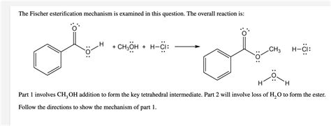 Solved The Fischer Esterification Mechanism Is Examined In Chegg