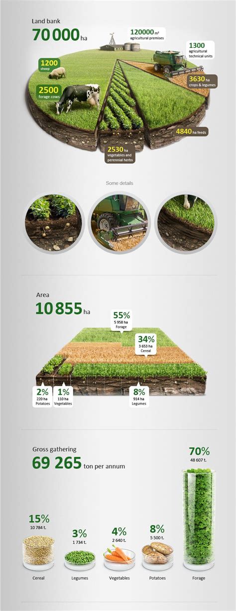 Agricultural Infographics Tutorial By Anton Egorov