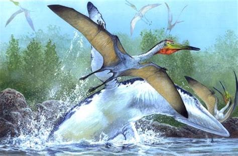 Pterodactylus Pictures & Facts - The Dinosaur Database