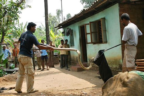 Agumbe Rainforest Research Station (ARRS) | Conservation India