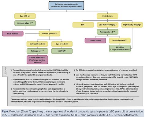 Acr Management Of Incidental Pancreatic Cysts