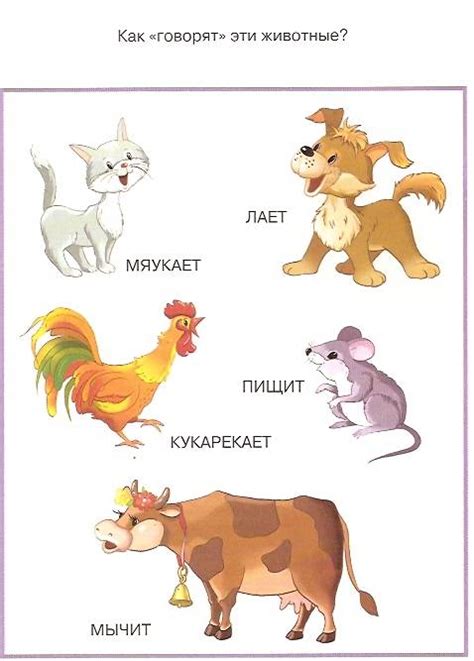 Умные книжки Земцовой (обзор с картинками)