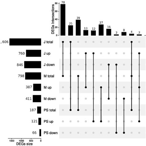 Upset Plot Of Differentially Expressed Genes Degs The Upset Plot