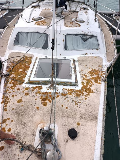 cabin boat design net