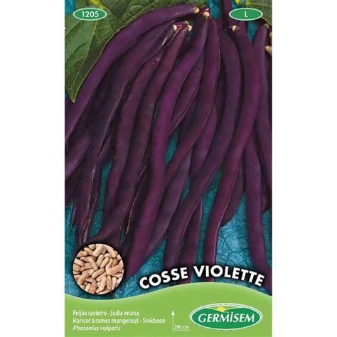 Germisem Cosse Violette Graines de Haricot à Rames 100 g EC1205