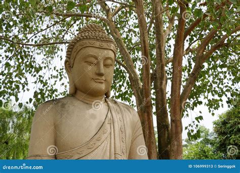 Buddha And The Bodhi Tree Stock Photography | CartoonDealer.com #76948184