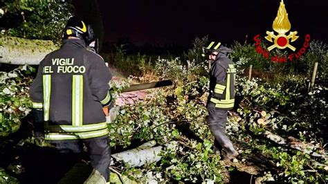 Maltempo A Pisa E Provincia 127 Interventi Per I Vigili Del Fuoco Ma