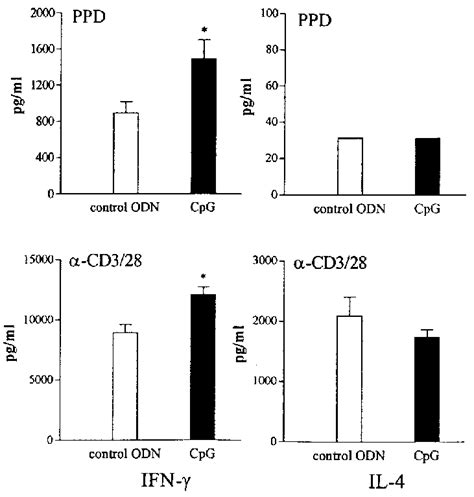 Postponed Cpg Odn Treatment Increases The Ifn Production Capacity Of