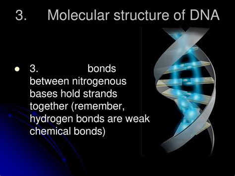 Molecular Biology Of The Gene Ppt Download