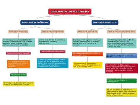 Derechos De Los Accionistas Mind Map