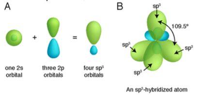 Molecular Orbital Review Flashcards Quizlet