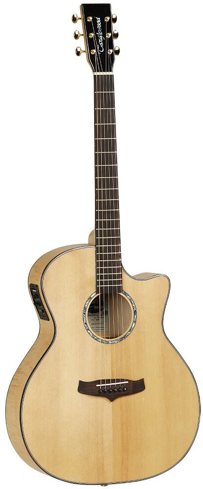 AudioPro Tanglewood Tvc Xfm Evolution Exotic Electro Acoustic Guitar