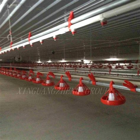 Modern Commercial Prefabricated Steel Structure Chicken Coop Poultry