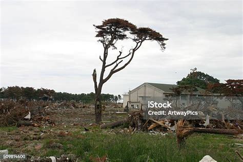 Jepang Tsunami Gempa Bumi 2011 Nobiru Kehancuran Kota Foto Stok Unduh Gambar Sekarang Istock