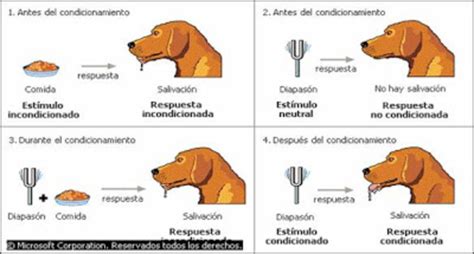 Evoluci N Del Aprendizaje Timeline Timetoast Timelines