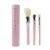 Sigma Beauty Essential Trio Brush Set Pink Pcs Tin Kroger