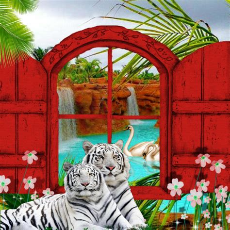 It Smichelle S Wildlife Frames January Tigers Wildlife