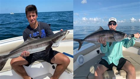 Catching Massive Cobia Jacks And Sharks In Kiawah South Carolina