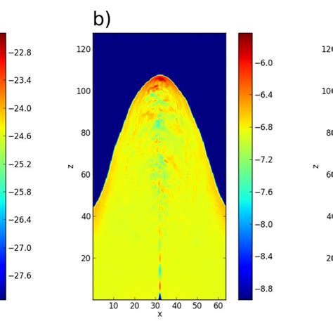 Two Dimensional Visualizations Of The Simulation Through The Xz Plane