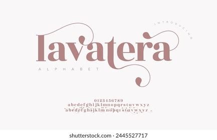 Lavatera Elegant Font Uppercase Lowercase Number Stock Vector Royalty