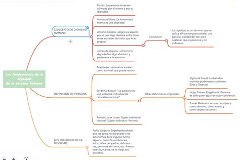 Organizador gráfico Fundamentos de la dignidad humana HU548 Ética y