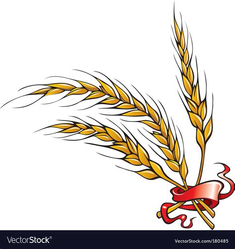 Wheat ears Royalty Free Vector Image - VectorStock