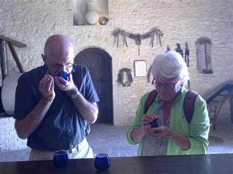 VISITA GUIADA ALMAZARA DE ACEITE Y BODEGA GetYourGuide