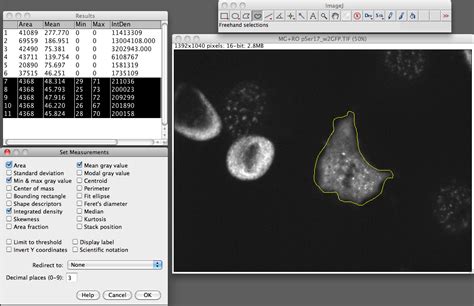 Measuring Cell Fluorescence Using Imagej The Open Lab Book V