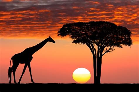 10 Best National Parks in Africa